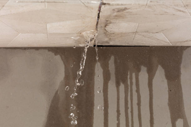 Professional Burst Pipe Cleanup technician working in Harrah, WA